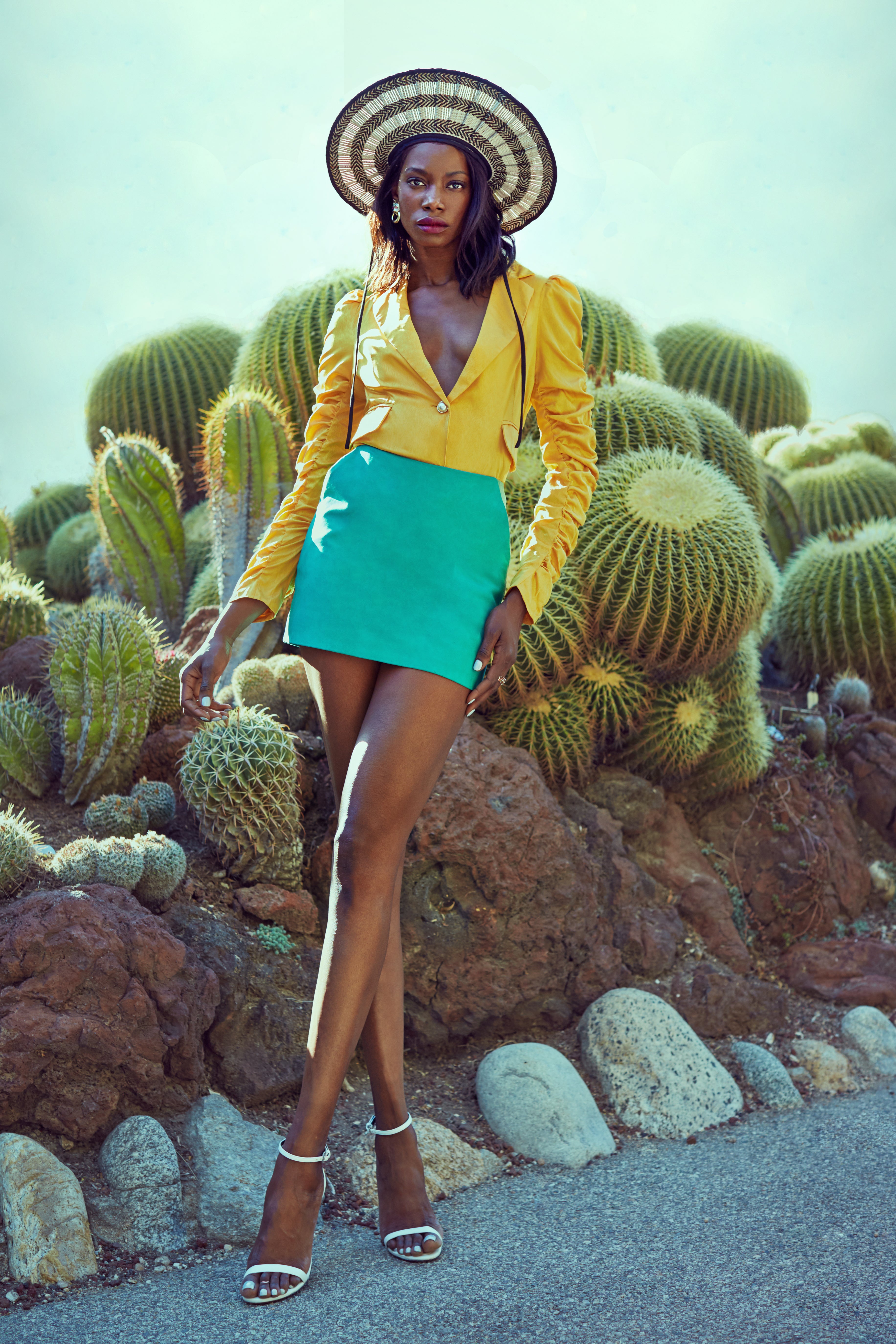 210329_Sigail_Huntington_Cactus_yellowtop_101_edit.jpg__PID:9d168f49-6275-4a3b-bd4c-a31008202936
